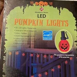 LED Pumpkin lights indoor/outdoor orange great fun